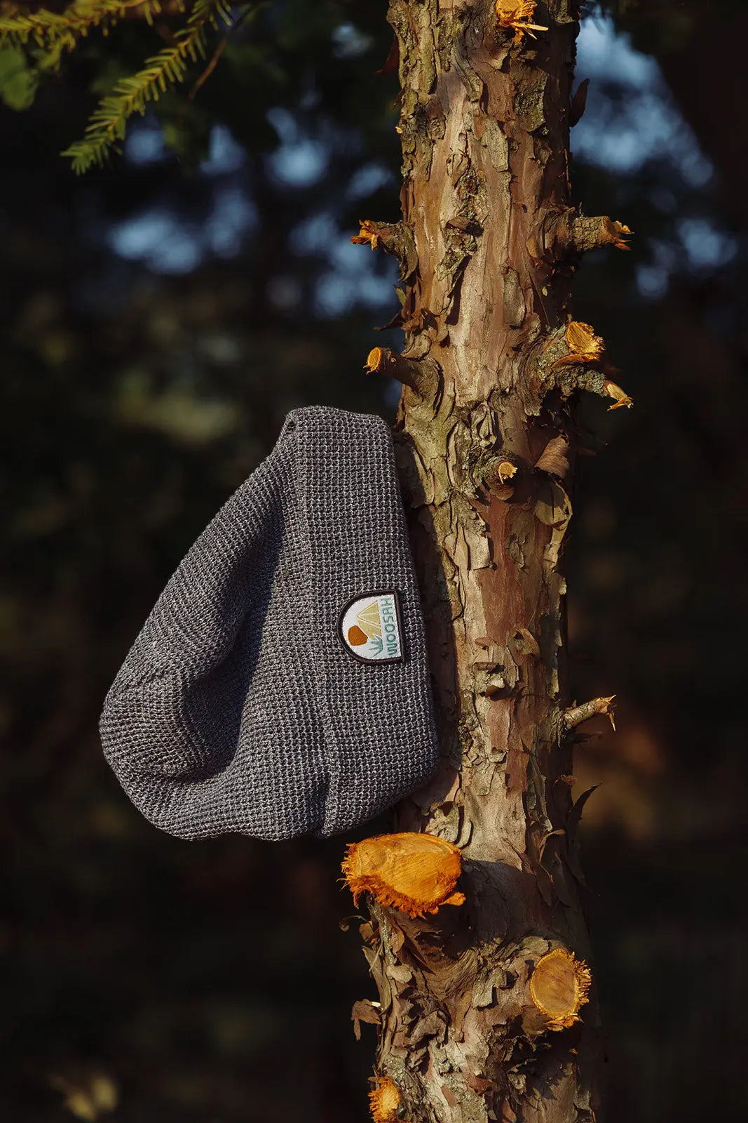 Pitch Beanie Silvermoons