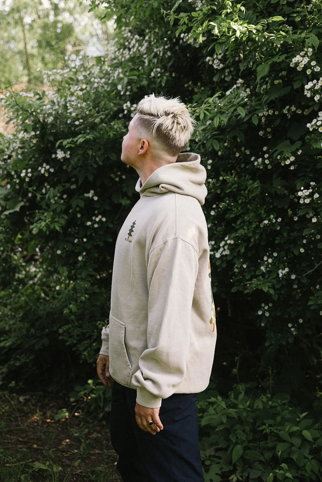 Canopy Hood Silvermoons